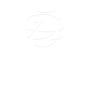 Logo dnet telecom